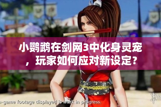 小鸚鵡在劍網(wǎng)3中化身靈寵，玩家如何應(yīng)對新設(shè)定？