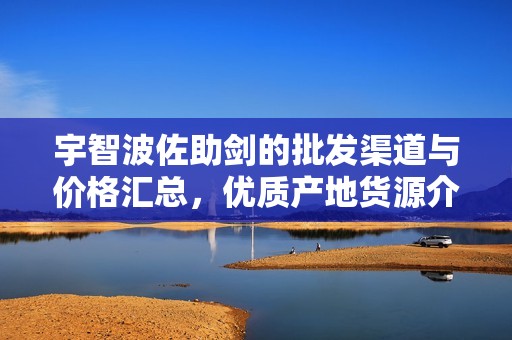 宇智波佐助劍的批發(fā)渠道與價格匯總，優(yōu)質產地貨源介紹
