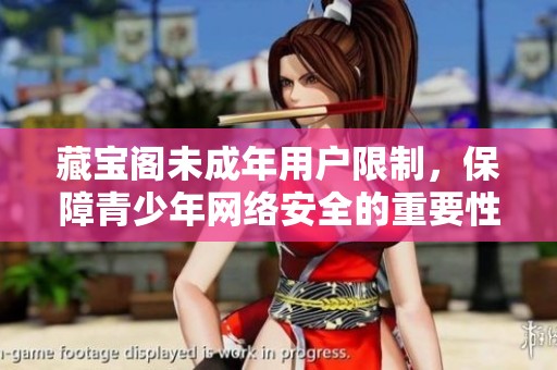 藏寶閣未成年用戶限制，保障青少年網(wǎng)絡(luò)安全的重要性