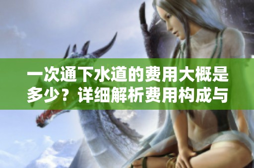 一次通下水道的費用大概是多少？詳細解析費用構(gòu)成與影響因素