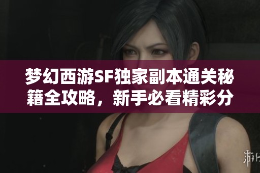 夢幻西游SF獨家副本通關(guān)秘籍全攻略，新手必看精彩分享！