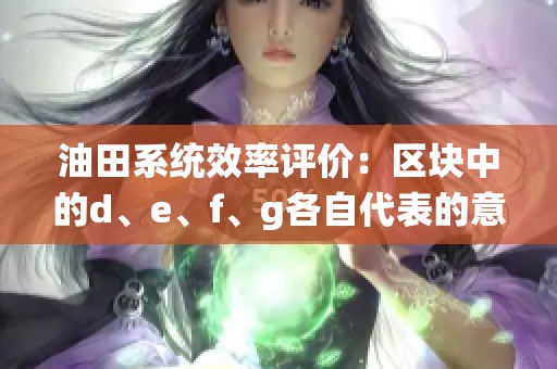 油田系統(tǒng)效率評價(jià)：區(qū)塊中的d、e、f、g各自代表的意義解析