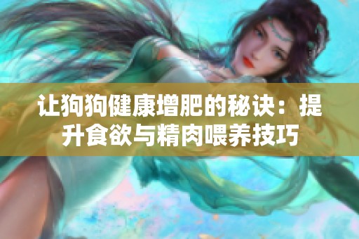讓狗狗健康增肥的秘訣：提升食欲與精肉喂養(yǎng)技巧