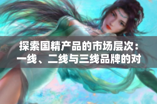 探索國精產(chǎn)品的市場層次：一線、二線與三線品牌的對比分析