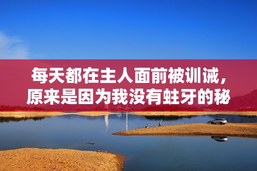 每天都在主人面前被訓(xùn)誡，原來是因?yàn)槲覜]有蛀牙的秘密