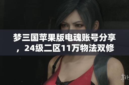 夢(mèng)三國(guó)蘋果版電魂賬號(hào)分享,24級(jí)二區(qū)11萬(wàn)物法雙修體驗(yàn)攻略 夢(mèng)三國(guó)蘋果版電魂賬號(hào)分享,24級(jí)二區(qū)11萬(wàn)物法雙修體驗(yàn)攻略