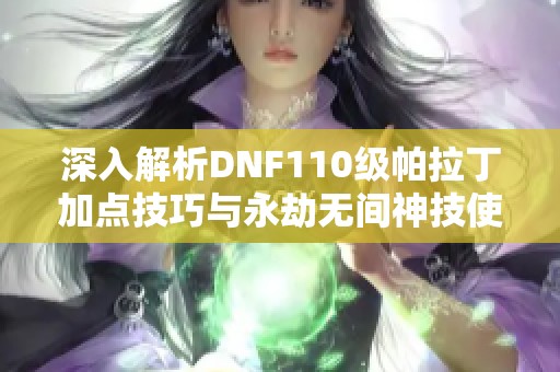 深入解析DNF110級帕拉丁加點技巧與永劫無間神技使用攻略