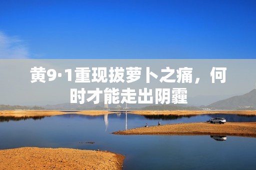 黃9·1重現(xiàn)拔蘿卜之痛，何時才能走出陰霾