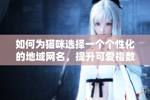 如何為貓咪選擇一個(gè)個(gè)性化的地域網(wǎng)名，提升可愛指數(shù)