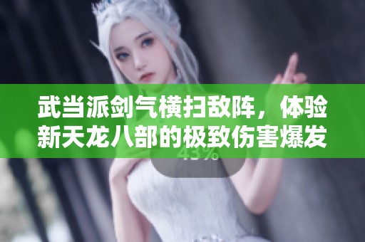 武當(dāng)派劍氣橫掃敵陣，體驗(yàn)新天龍八部的極致傷害爆發(fā)