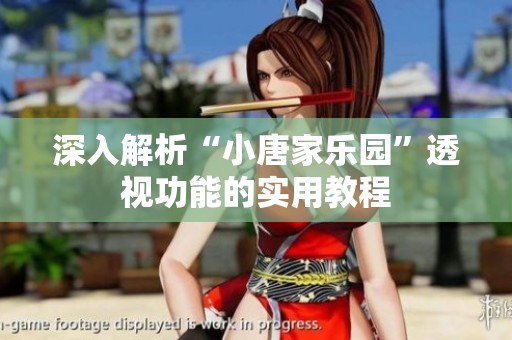 深入解析“小唐家樂(lè)園”透視功能的實(shí)用教程