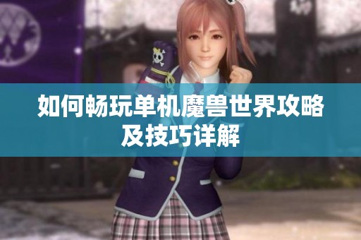 如何暢玩單機(jī)魔獸世界攻略及技巧詳解