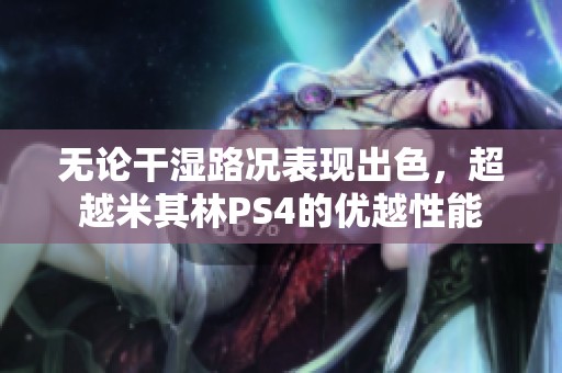 無論干濕路況表現(xiàn)出色，超越米其林PS4的優(yōu)越性能