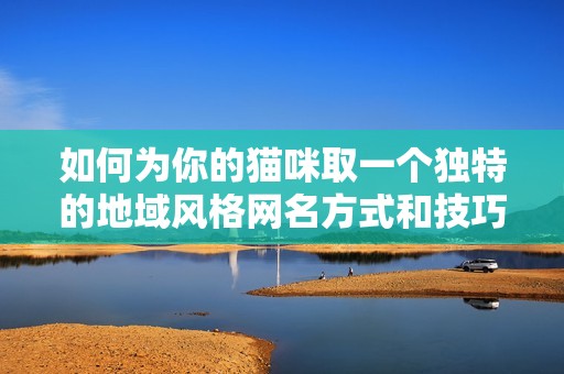 如何為你的貓咪取一個(gè)獨(dú)特的地域風(fēng)格網(wǎng)名方式和技巧