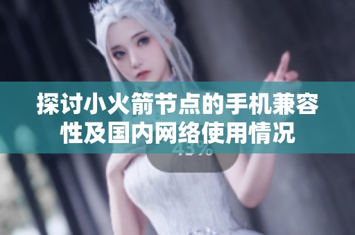 探討小火箭節(jié)點(diǎn)的手機(jī)兼容性及國內(nèi)網(wǎng)絡(luò)使用情況 探討小火箭節(jié)點(diǎn)的手機(jī)兼容性及國內(nèi)網(wǎng)絡(luò)使用情況