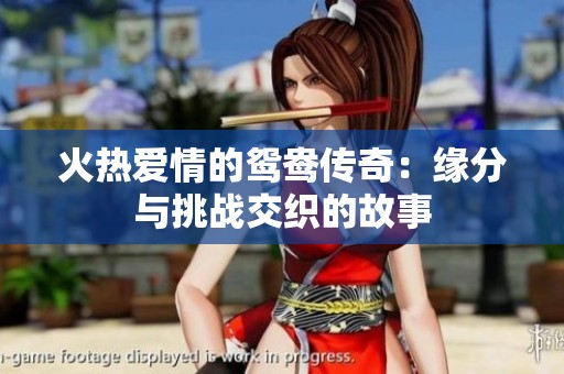 火熱愛情的鴛鴦傳奇：緣分與挑戰(zhàn)交織的故事
