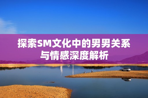 探索SM文化中的男男關系與情感深度解析