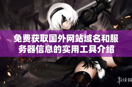免費(fèi)獲取國外網(wǎng)站域名和服務(wù)器信息的實(shí)用工具介紹