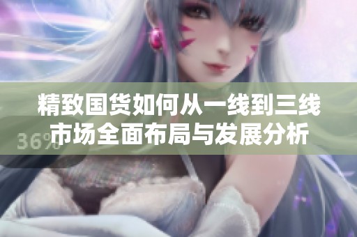 精致國貨如何從一線到三線市場全面布局與發(fā)展分析