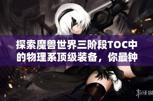 探索魔獸世界三階段TOC中的物理系頂級裝備，你最鐘愛哪一件？