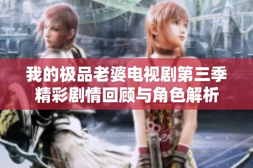 我的極品老婆電視劇第三季精彩劇情回顧與角色解析