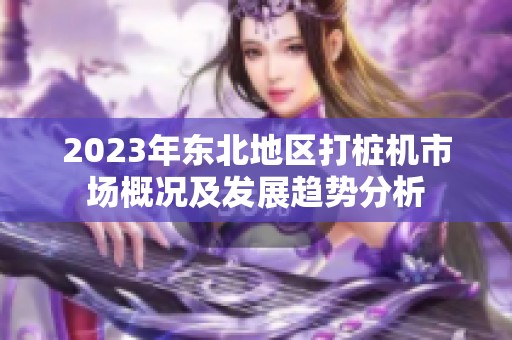 2023年東北地區(qū)打樁機(jī)市場(chǎng)概況及發(fā)展趨勢(shì)分析