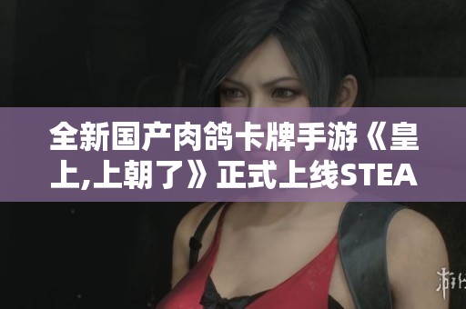 全新國(guó)產(chǎn)肉鴿卡牌手游《皇上,上朝了》正式上線STEAM平臺(tái)！
