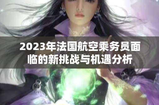 2023年法國航空乘務(wù)員面臨的新挑戰(zhàn)與機(jī)遇分析