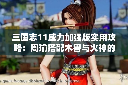 三國志11威力加強版實用攻略：周瑜搭配木獸與火神的戰(zhàn)斗技巧解析