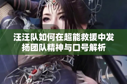 汪汪隊(duì)如何在超能救援中發(fā)揚(yáng)團(tuán)隊(duì)精神與口號解析