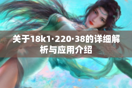 關(guān)于18k1·220·38的詳細(xì)解析與應(yīng)用介紹