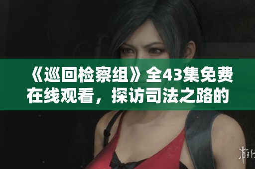 《巡回檢察組》全43集免費(fèi)在線觀看，探訪司法之路的故事