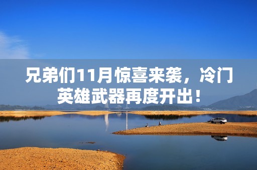 兄弟們11月驚喜來襲，冷門英雄武器再度開出！