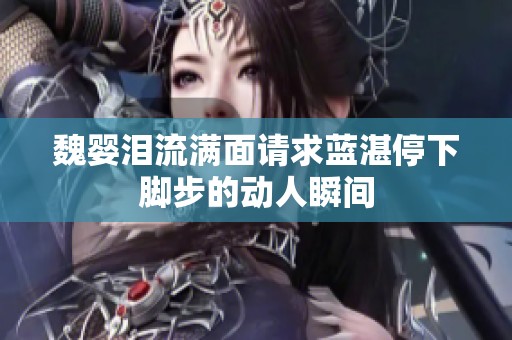 魏嬰淚流滿面請(qǐng)求藍(lán)湛停下腳步的動(dòng)人瞬間
