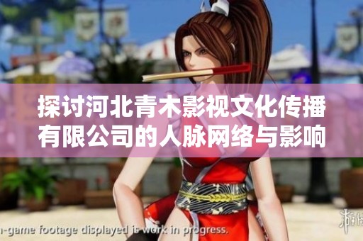 探討河北青木影視文化傳播有限公司的人脈網(wǎng)絡(luò)與影響力分析