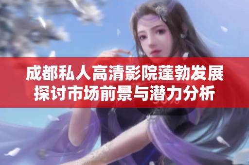 成都私人高清影院蓬勃發(fā)展探討市場前景與潛力分析