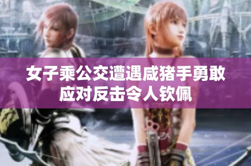 女子乘公交遭遇咸豬手勇敢應對反擊令人欽佩