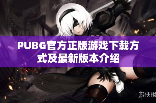 PUBG官方正版游戲下載方式及最新版本介紹