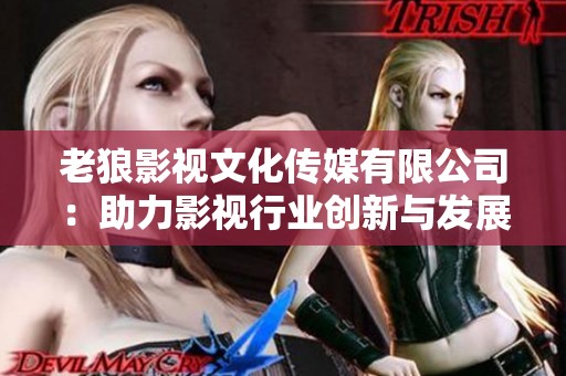 老狼影視文化傳媒有限公司：助力影視行業(yè)創(chuàng)新與發(fā)展新篇章