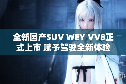 全新國產(chǎn)SUV WEY VV8正式上市 賦予駕駛全新體驗