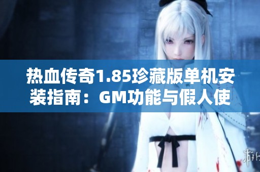 熱血傳奇1.85珍藏版單機(jī)安裝指南：GM功能與假人使用詳解