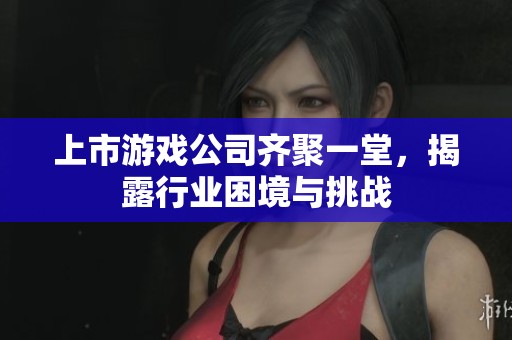 上市游戲公司齊聚一堂，揭露行業(yè)困境與挑戰(zhàn)