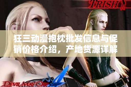 狂三動(dòng)漫抱枕批發(fā)信息與促銷價(jià)格介紹，產(chǎn)地貨源詳解