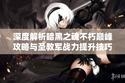 深度解析暗黑之魂不朽巔峰攻略與圣教軍戰(zhàn)力提升技巧