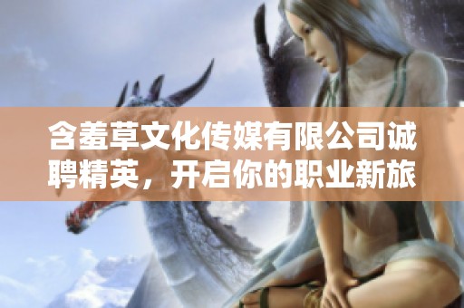 含羞草文化傳媒有限公司誠聘精英，開啟你的職業(yè)新旅程