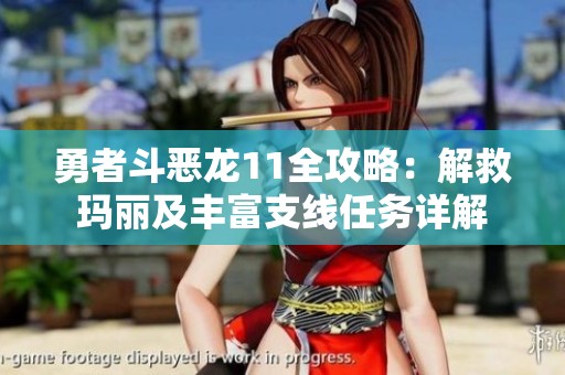 勇者斗惡龍11全攻略：解救瑪麗及豐富支線任務(wù)詳解