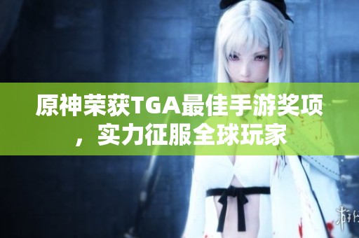 原神榮獲TGA最佳手游獎(jiǎng)項(xiàng)，實(shí)力征服全球玩家
