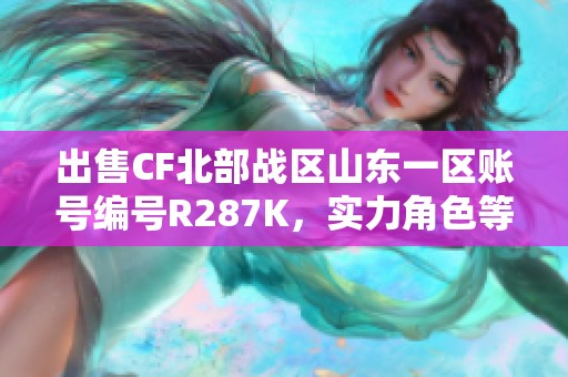 出售CF北部戰(zhàn)區(qū)山東一區(qū)賬號編號R287K，實力角色等你來戰(zhàn)