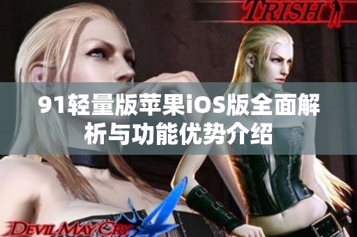 91輕量版蘋果iOS版全面解析與功能優(yōu)勢介紹
