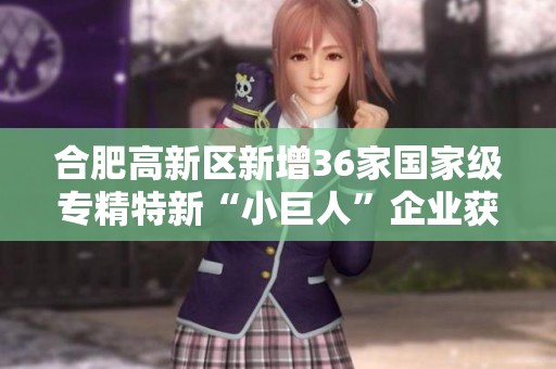 合肥高新區(qū)新增36家國(guó)家級(jí)專精特新“小巨人”企業(yè)獲批喜訊
